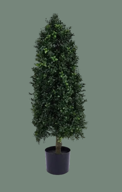 Cone Shape Boxwood Topiary 36in tall Thenestedfig dense green foliage in a black pot on Tampa Home & Garden Store