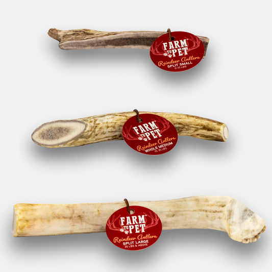 Reindeer Antler Dog Chew set of 3 by Farm To Pet, natural beige antlers on Tampa Home & Garden Store