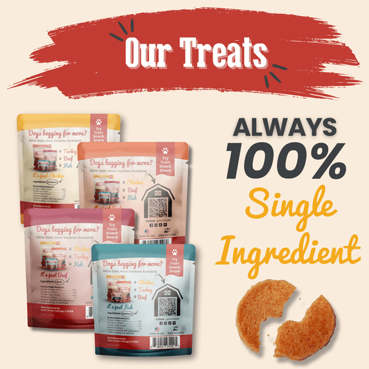 Snack Pack Dog Treat Sampler by Farm To Pet, 5 assorted dog treat pouches on Tampa Home & Garden Store