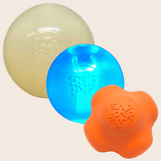 Dog fetch balls set of 3 blue, orange and pale yellow Farm To Pet on Tampa Home & Garden Store