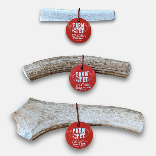 Elk Antler Dog Chews Farm To Pet – 3 pieces, whole and split elk antlers on Tampa Home & Garden Store