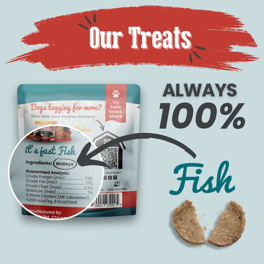 Fish Chips Snack Pack Bundle dog treats by Farm To Pet in teal packaging with red label on Tampa Home & Garden Store