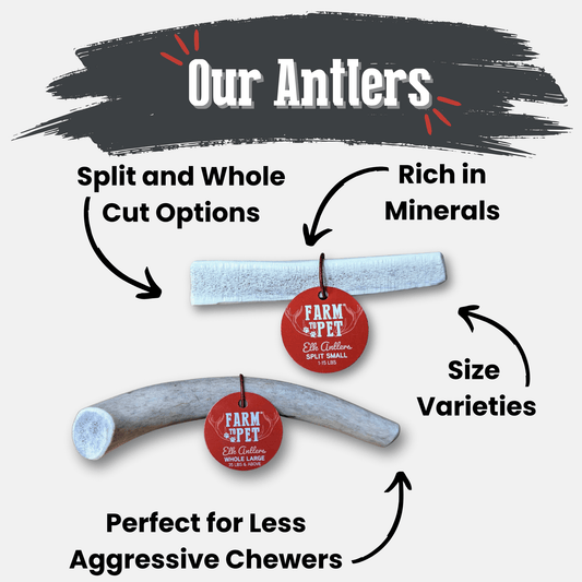 Elk Antler Dog Chews Farm To Pet all-natural whole and split antlers for dogs 2 chews shown on Tampa Home & Garden Store