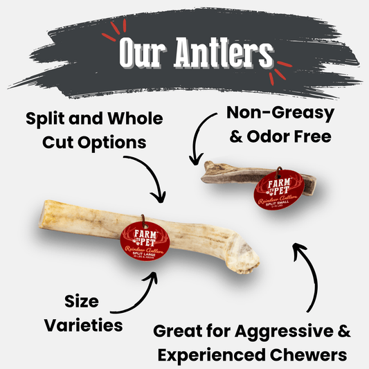 Reindeer Antler Dog Chews Farm To Pet split large natural beige antler chews for dogs on Tampa Home & Garden Store