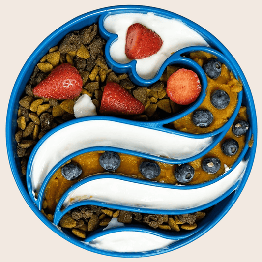 Blue slow feeder dog bowl set with kibble and yogurt Farm To Pet on Tampa Home & Garden Store