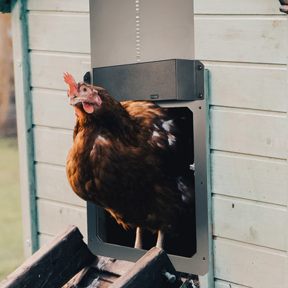 Farmight Automatic Chicken Coop Door, Aluminum - Tampa Home & Garden Store
