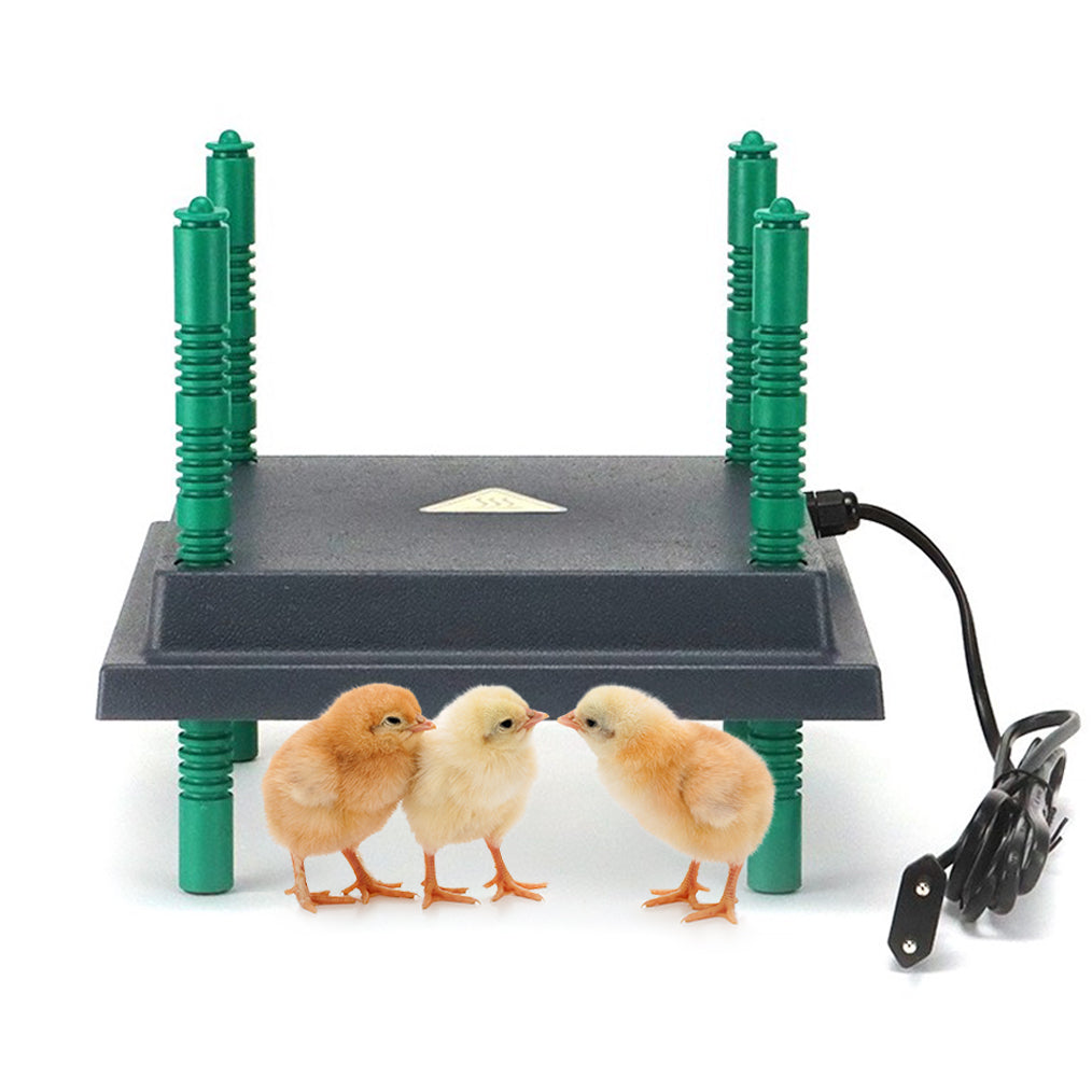 Farmight Chick Brooder Heater Plate, Adjustable Height, 3 Size Options - Tampa Home & Garden Store