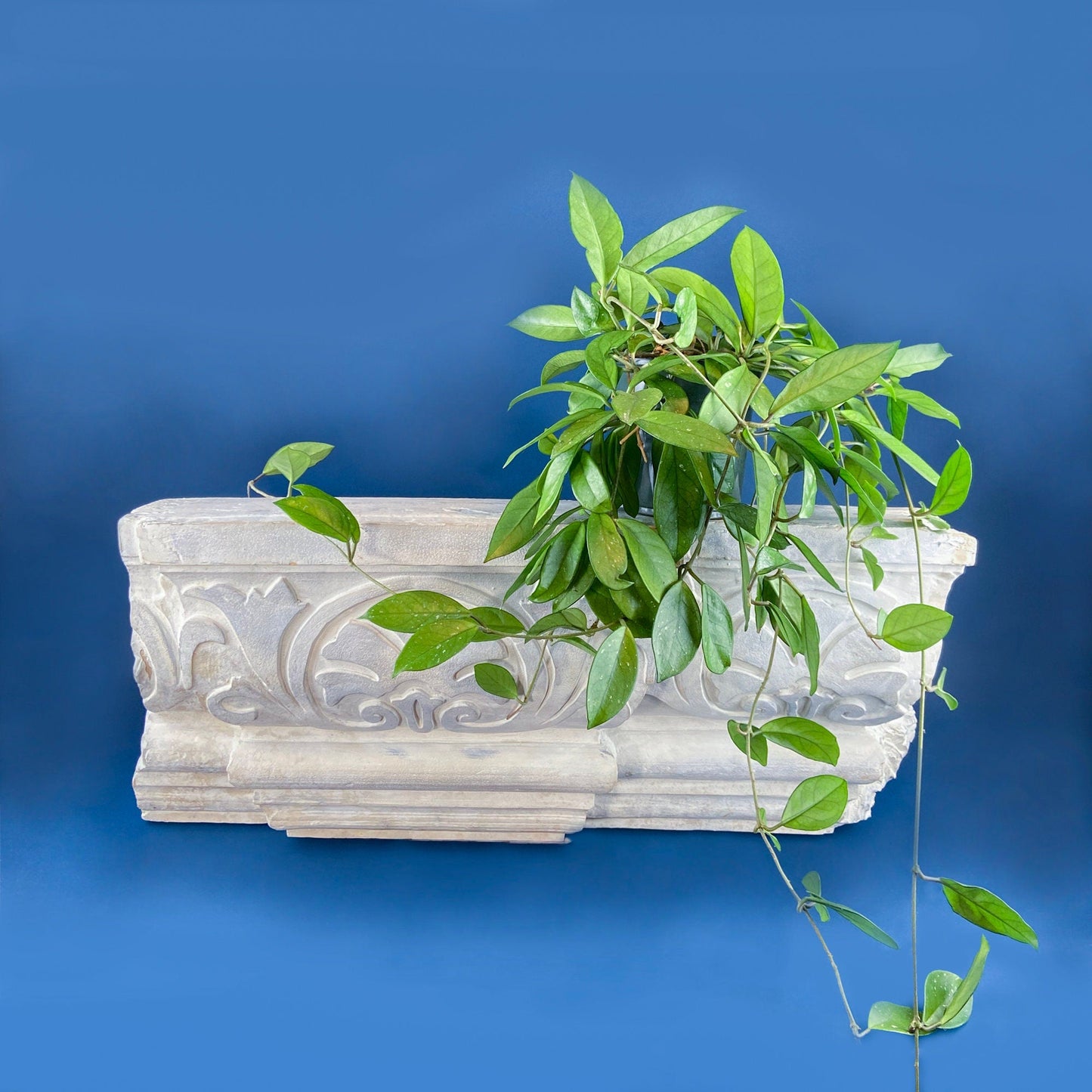 Faux Greek Roman Wall Hanging. Italian Mediterranean Style Home Shelving. Restaurant Retail Theater Wall Art. Styling Prop. Urethane Cornice - Tampa Home & Garden Store