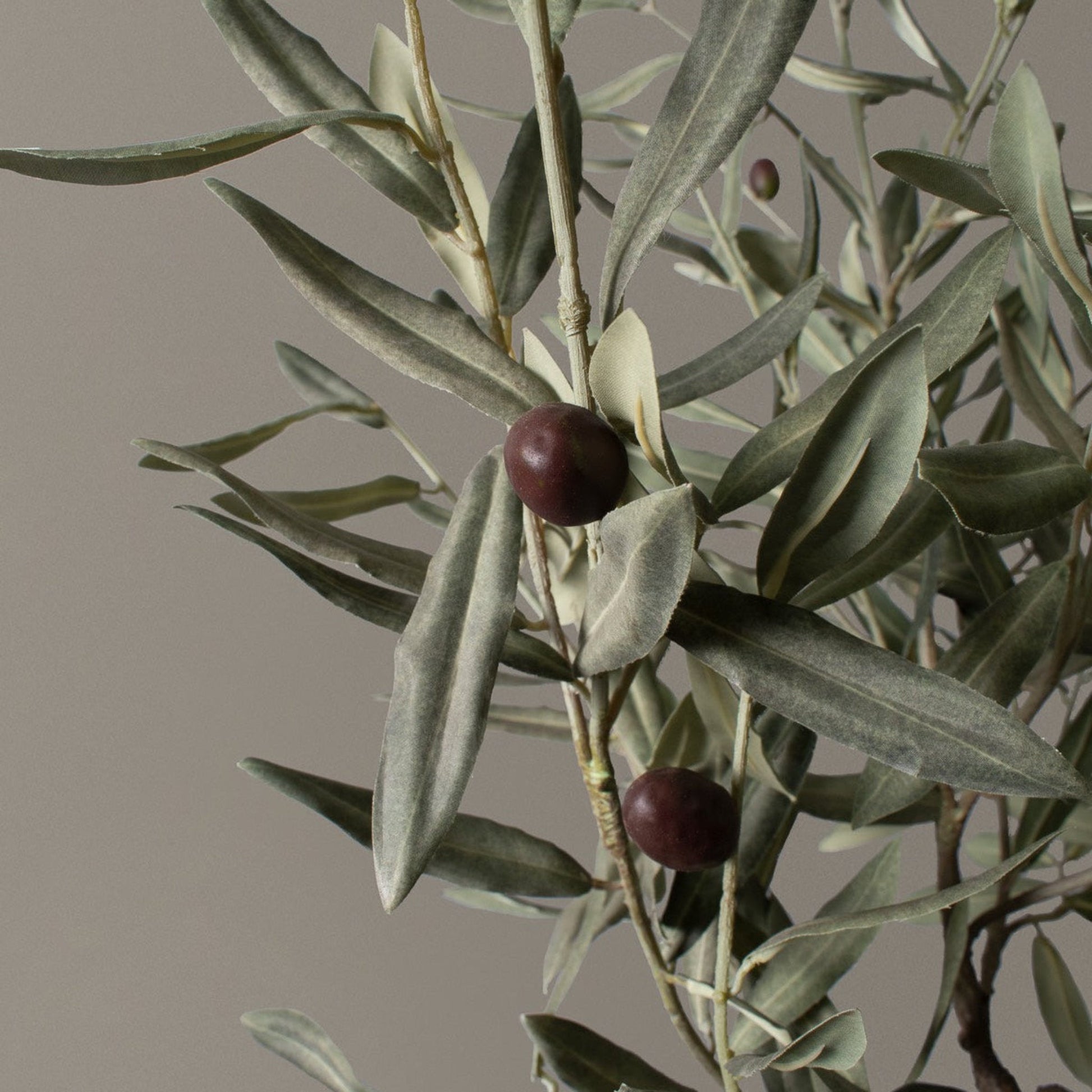 Faux Olive Tree artificial with gray-green leaves by Live Good Logistics on Tampa Home & Garden Store
