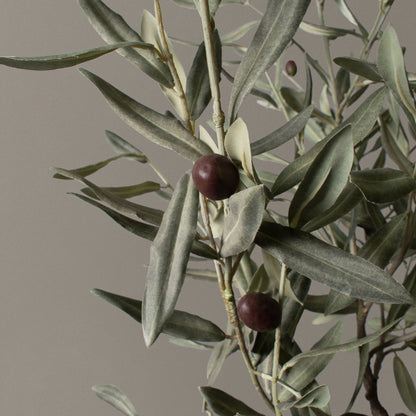Faux Olive Tree artificial with gray-green leaves by Live Good Logistics on Tampa Home & Garden Store