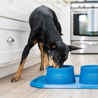 Non Slip Placemat Raised Edges Dishwasher Safe