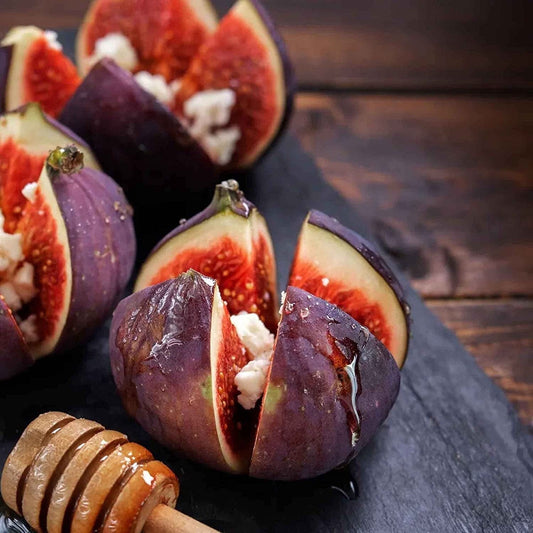 Ficus Carica Fig - 100 Seeds - Sweet Fruit Shrub Tree - Tampa Home & Garden Store