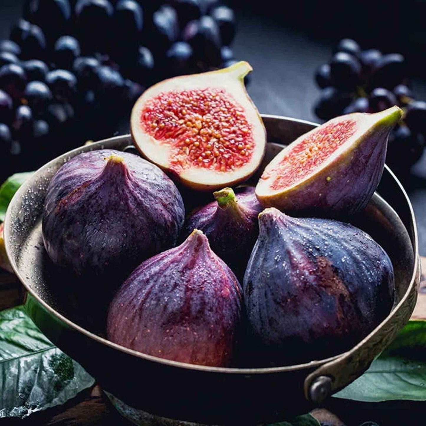 Ficus Carica Fig - 100 Seeds - Sweet Fruit Shrub Tree - Tampa Home & Garden Store