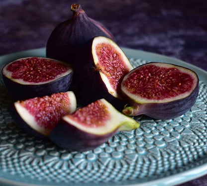 Ficus Carica Fig - 100 Seeds - Sweet Fruit Shrub Tree - Tampa Home & Garden Store