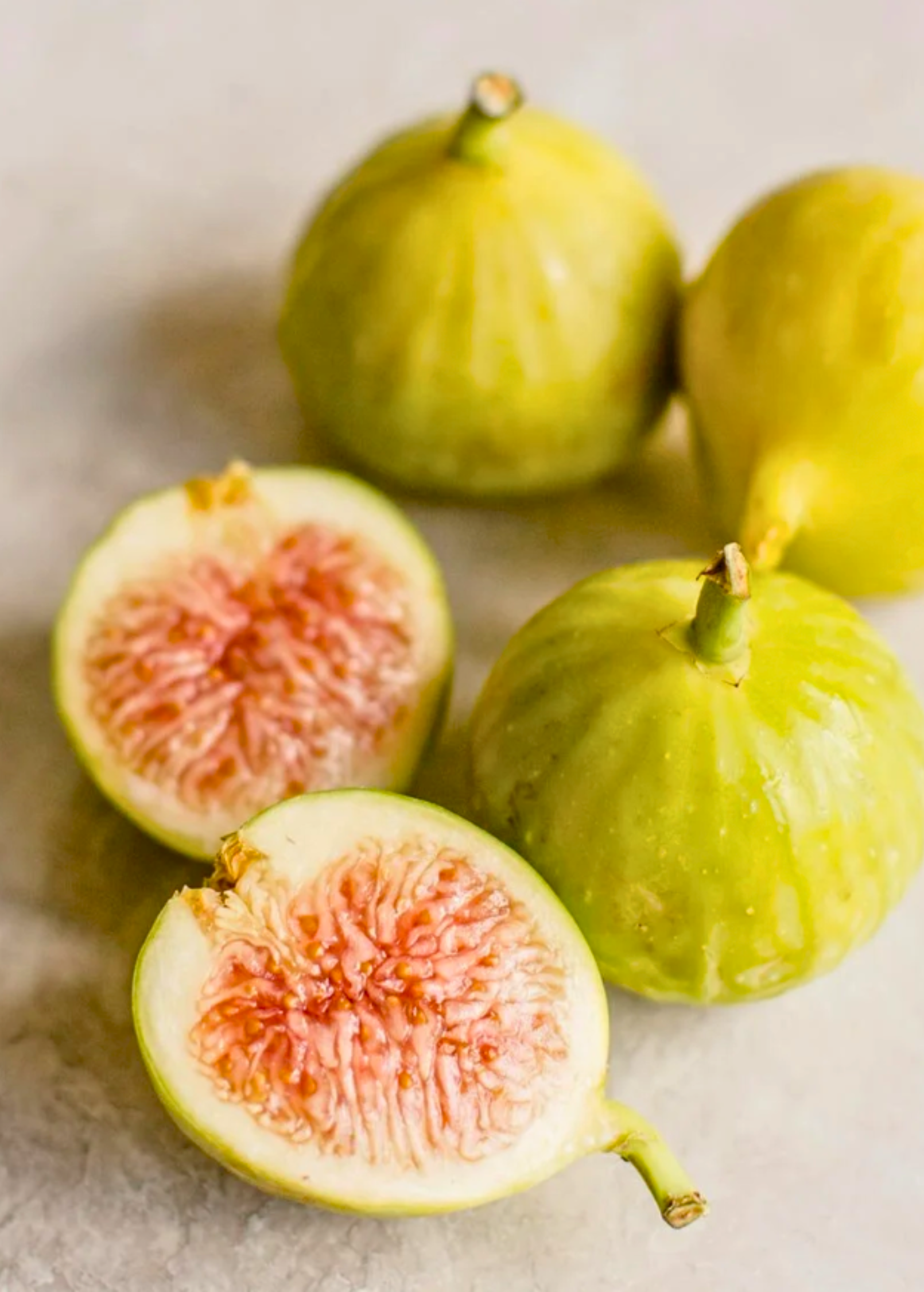 Fig 'Kadota' (Ficus carica) - Tampa Home & Garden Store