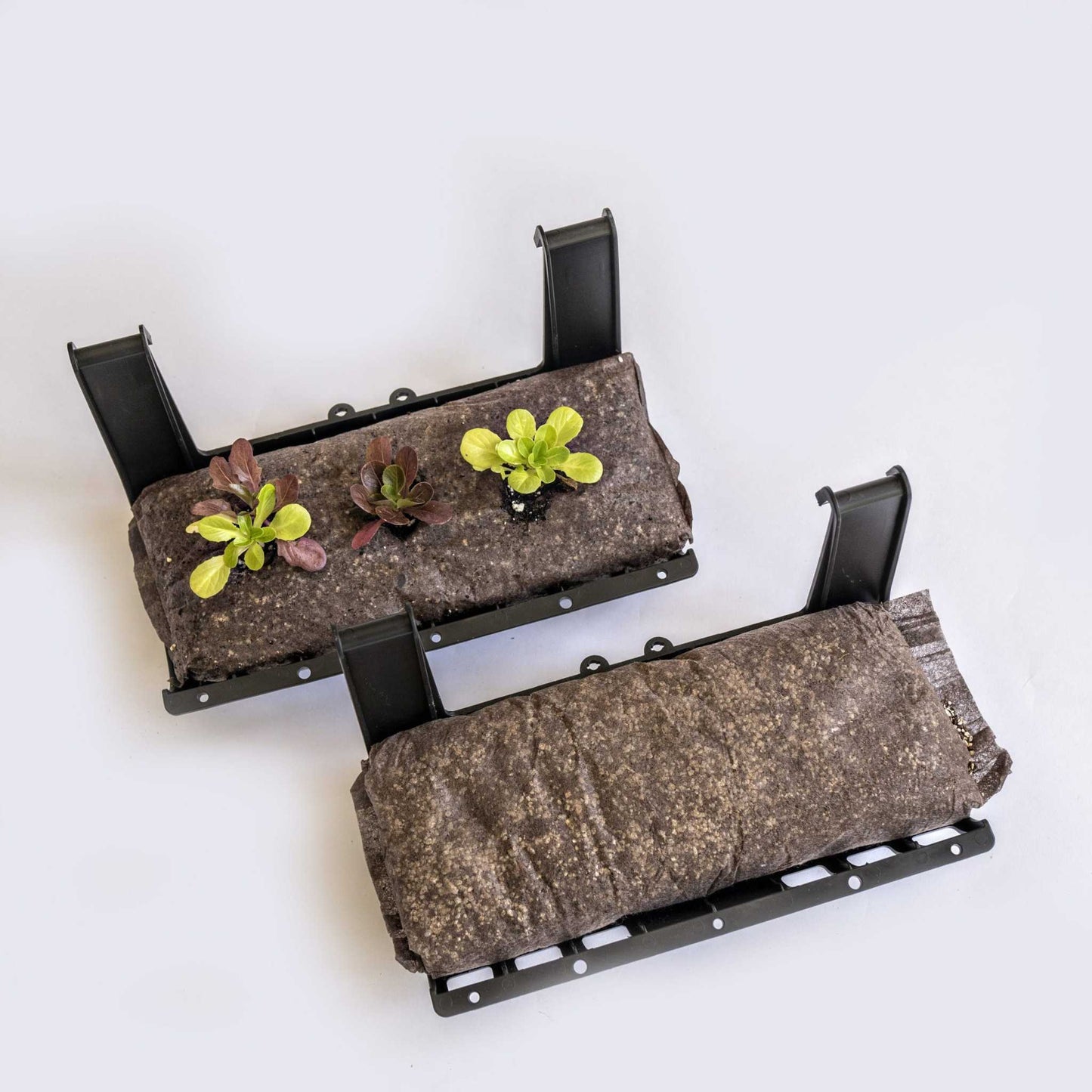Filled Ellepot Pouches for Vertical Gardens - Tampa Home & Garden Store