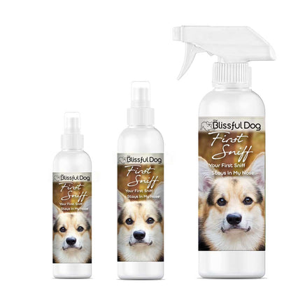 First Sniff Dog Cologne - Your First Sniff Stays on My Mind - Tampa Home & Garden Store