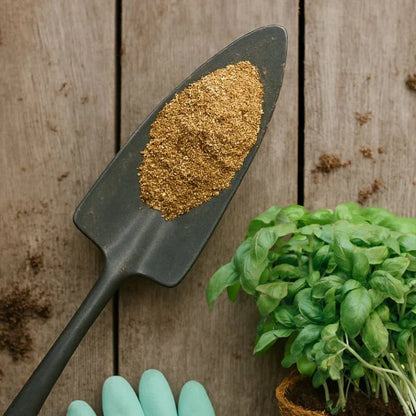 Fish Meal (5 lb bag) - Tampa Home & Garden Store