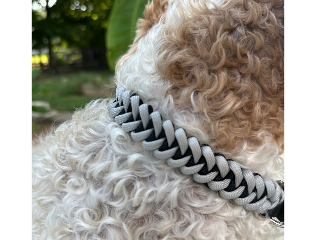 Fishtail Hand Braided Dog Collar in Black & Smoke - Tampa Home & Garden Store