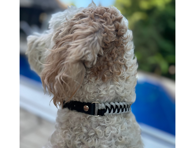 Fishtail Hand Braided Dog Collar in Black & Smoke - Tampa Home & Garden Store