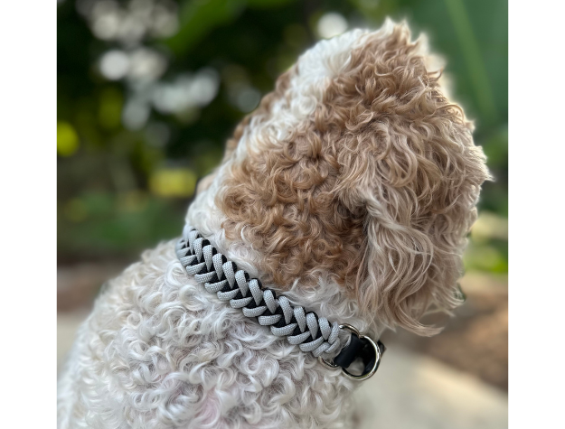 Fishtail Hand Braided Dog Collar in Black & Smoke - Tampa Home & Garden Store