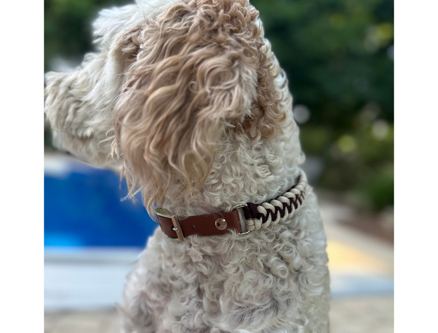 Fishtail Hand Braided Dog Collar in Burgundy & Cream - Tampa Home & Garden Store