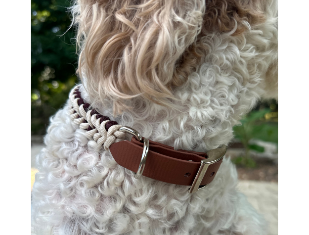 Fishtail Hand Braided Dog Collar in Burgundy & Cream - Tampa Home & Garden Store
