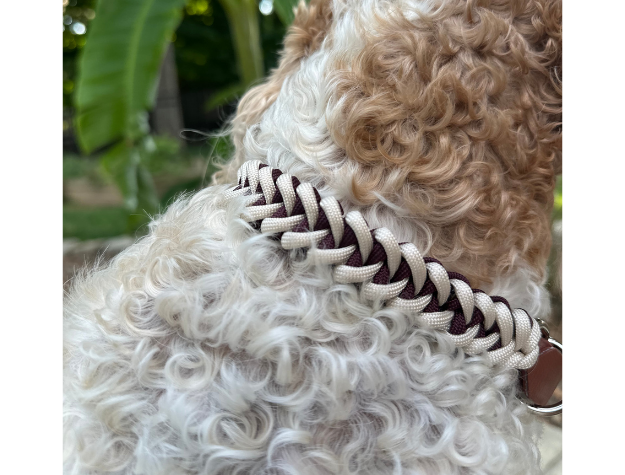 Fishtail Hand Braided Dog Collar in Burgundy & Cream - Tampa Home & Garden Store