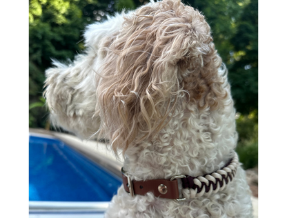 Fishtail Hand Braided Dog Collar in Burgundy & Cream - Tampa Home & Garden Store