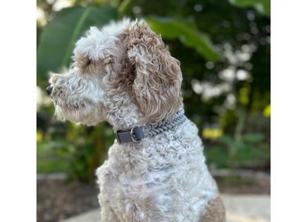Fishtail Hand Braided Dog Collar in Graphite & Smoke - Tampa Home & Garden Store
