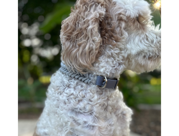 Fishtail Hand Braided Dog Collar in Graphite & Smoke - Tampa Home & Garden Store