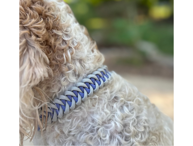 Fishtail Hand Braided Dog Collar in Lavender & Smoke - Tampa Home & Garden Store