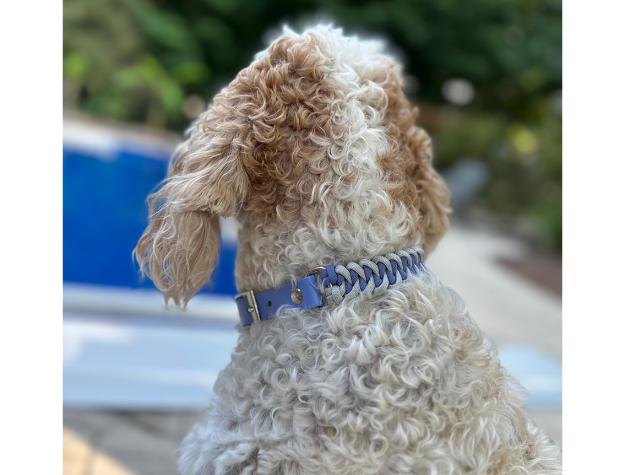 Fishtail Hand Braided Dog Collar in Lavender & Smoke - Tampa Home & Garden Store