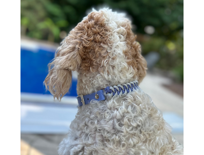 Fishtail Hand Braided Dog Collar in Lavender & Smoke - Tampa Home & Garden Store