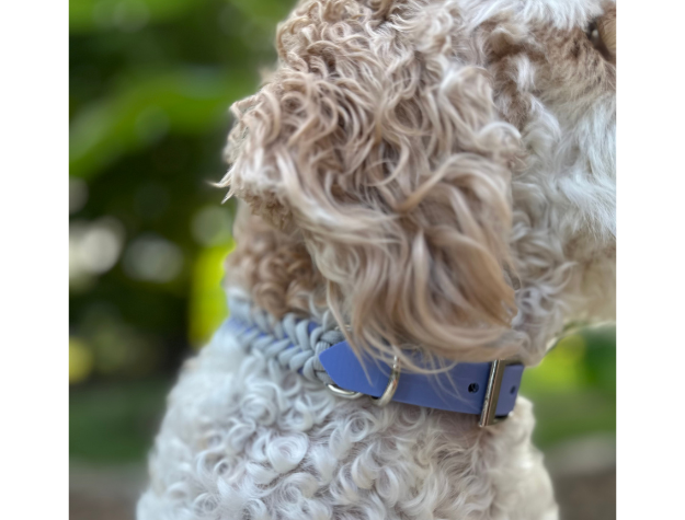 Fishtail Hand Braided Dog Collar in Lavender & Smoke - Tampa Home & Garden Store