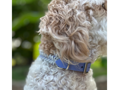 Fishtail Hand Braided Dog Collar in Lavender & Smoke - Tampa Home & Garden Store