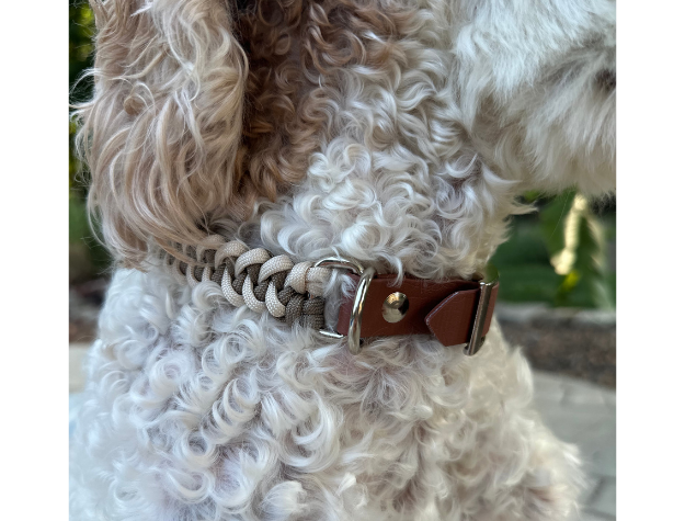 Fishtail Hand Braided Dog Collar in Tan & Cream - Tampa Home & Garden Store