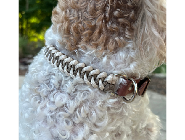 Fishtail Hand Braided Dog Collar in Tan & Cream - Tampa Home & Garden Store