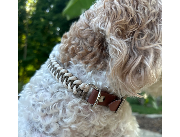Fishtail Hand Braided Dog Collar in Tan & Cream - Tampa Home & Garden Store