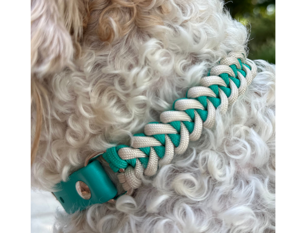 Fishtail Hand Braided Dog Collar in Teal & Cream - Tampa Home & Garden Store