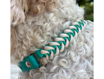 Fishtail Hand Braided Dog Collar in Teal & Cream - Tampa Home & Garden Store
