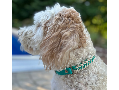 Fishtail Hand Braided Dog Collar in Teal & Cream - Tampa Home & Garden Store