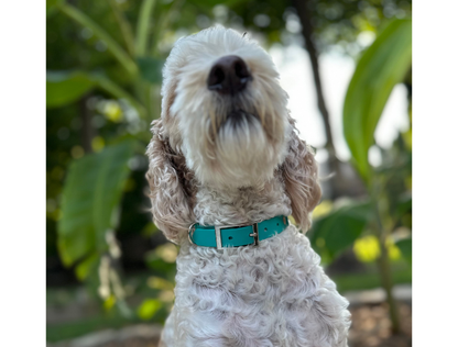 Fishtail Hand Braided Dog Collar in Teal & Cream - Tampa Home & Garden Store