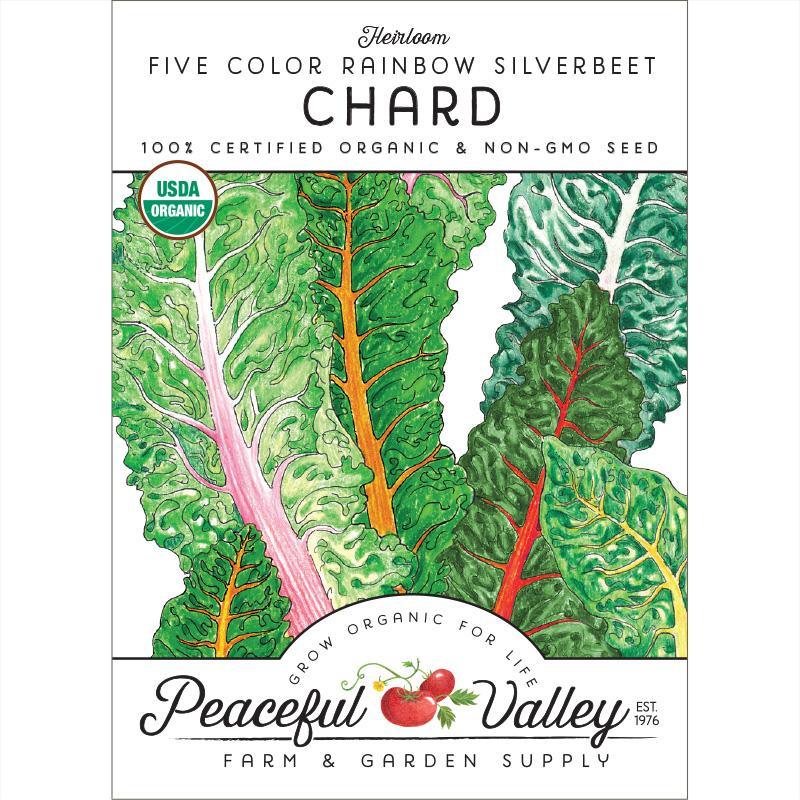 Five Color Silverbeet Chard Seeds (Organic) - Tampa Home & Garden Store