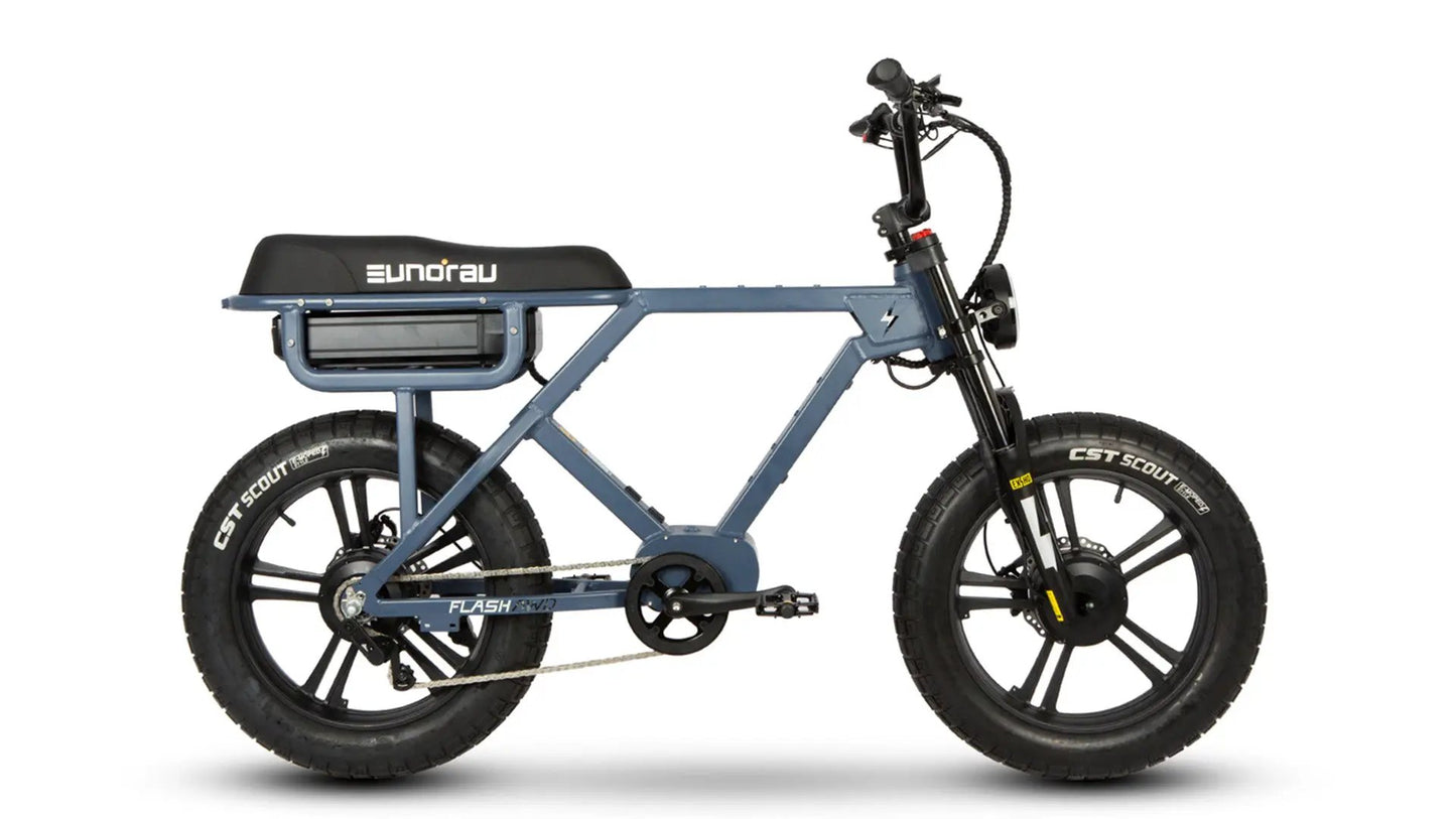 Electric bicycle FLASH AWD 1.0 by EUNORAU E-BIKE US, blue frame with fat CST Scout tires on Tampa Home & Garden Store