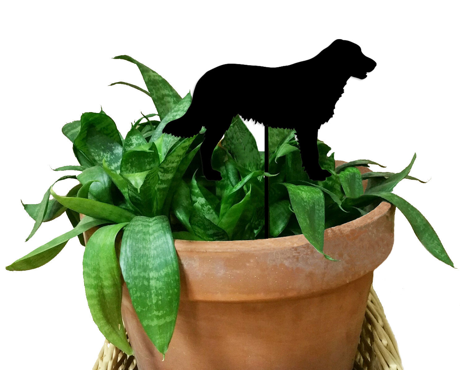 Flat Coated Retriever plant stake, black silhouette in terracotta pot, Rustica Ornamentals on Tampa Home & Garden Store