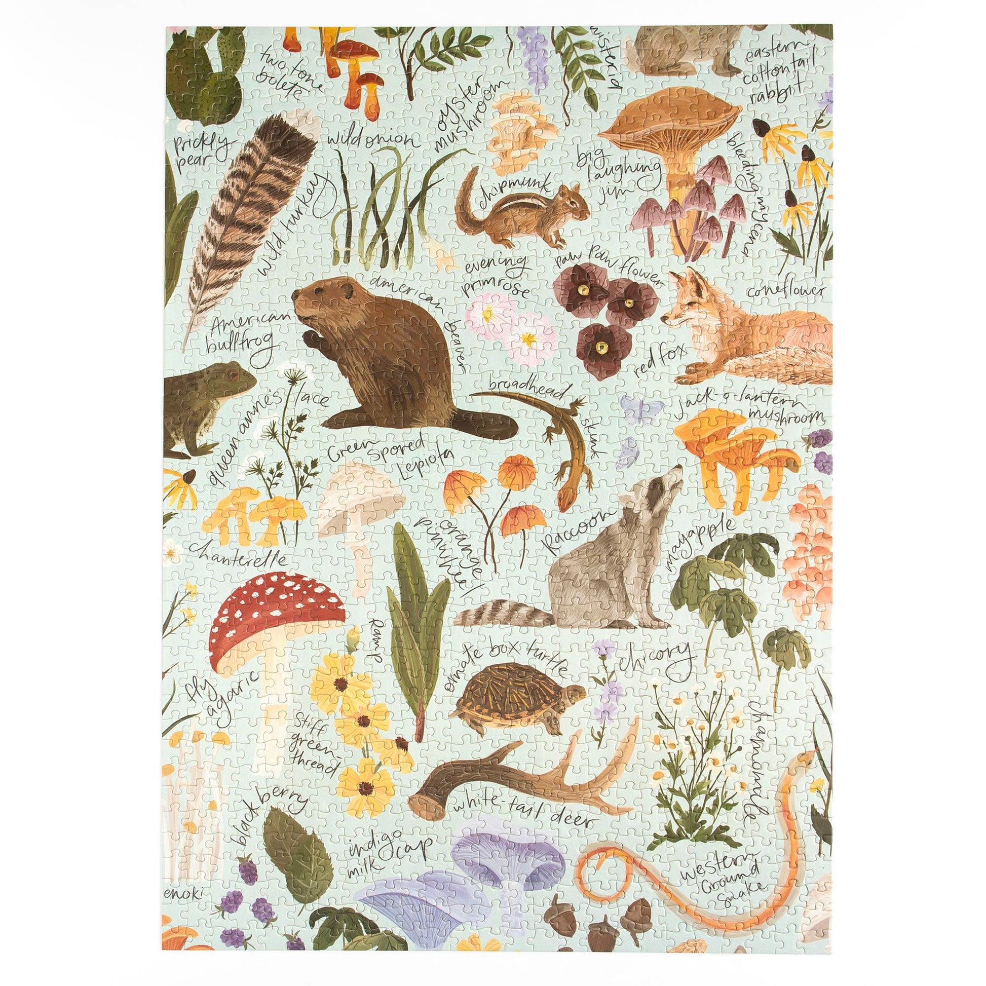 Flora & Fauna - 1,000 Piece Jigsaw Puzzle - Tampa Home & Garden Store