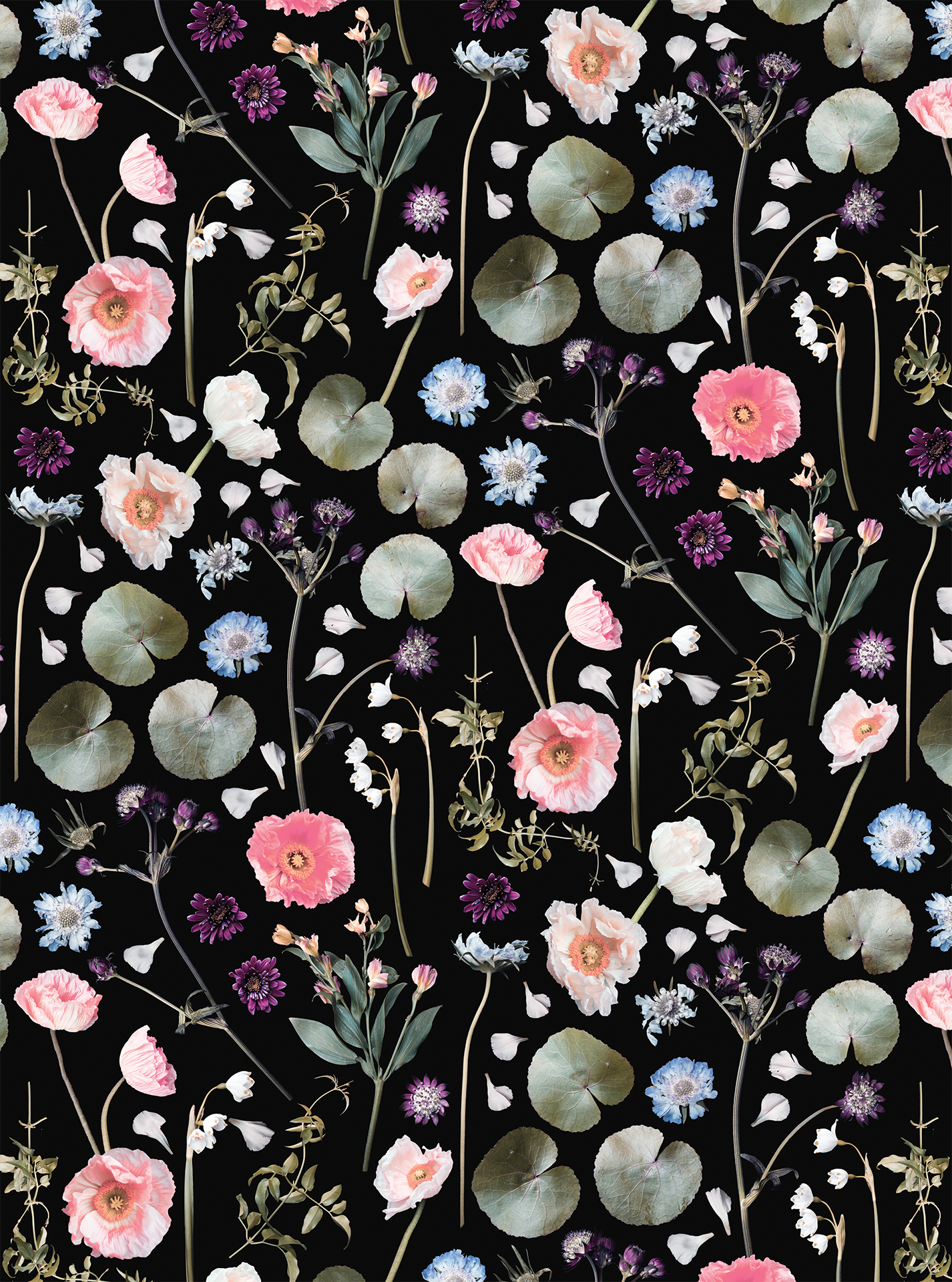 Floral Finds Wallpaper, black - Tampa Home & Garden Store
