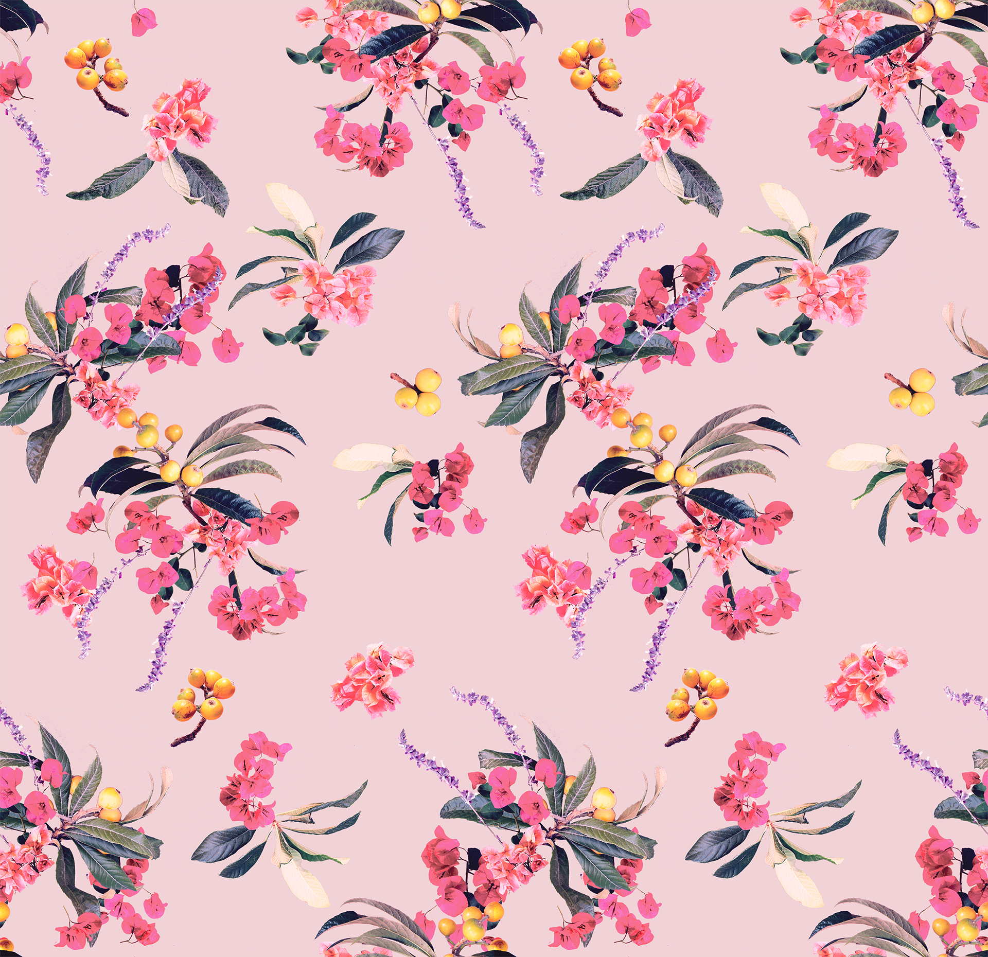 Floral Loquat Wallpaper, pink - Tampa Home & Garden Store