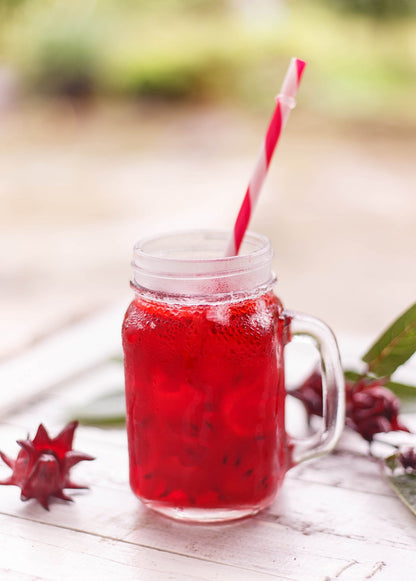Florida Cranberry (Hibiscus sabdariffa) - Tampa Home & Garden Store
